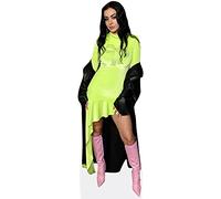Charli XCX (Pink Boots) Silhouette en carton Grandeur Nature