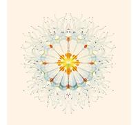 Charlie Charlie - Litte Things [Import]