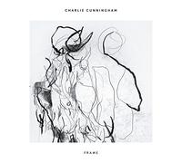 Charlie Cunningham - Frame