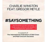 Charlie Winston - Say Something [Import]