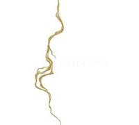 Charlotte Charbonnel. Geoscopia Léa Bismuth (Auteur), Florian Gaité (Auteur)