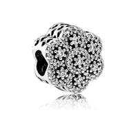Charm - Panchora - Fleur cristallisée - Argent - Incolore - Femme
