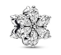 Pandora Charm Timeless Herbier scintillant, argent sterling, zircones cubiques transparentes
