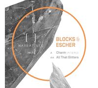 Charm Pt1 & Pt2/All That Glitters/Art Print Poster Included