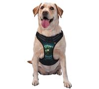 Charmante harnais spatial pour chien - Équipé de bandes réfléchissantes pour animaux de compagnie et de boucles à dégagement rapide - Convient à tous les types de chiens