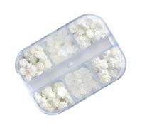 Charme de Fleur pour Ongles, Résine Blanche, 1 Boîte | Bijou de Camélia, Décoration 3d, Look Concours et Banquet, Projets Créatifs, Femmes et Passionnées