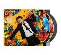 Charmed Life The Best Of The Divine Comedy Edition Deluxe E