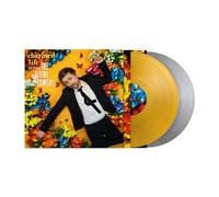 The Divine Comedy – Charmed Life - The Best Of The Divine Comedy – Vinyle