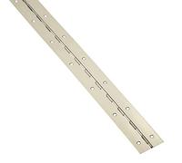 Charnière à tige 1000 x 40 x 1,0 mm finition acier inoxydable Paumelle de porte Charnière à paumelle de SOTECH