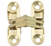 Charnière croisée invisible fabriquée avec des composants en acier inoxydable et un corps en alliage de zinc pour montage de porte pliante sur surfaces en bois et stratifiées (doré 11 x 40 mm)