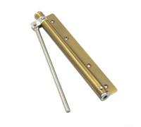 Charnières à fermeture automatique en acier inoxydable pour une utilisation constante sur les portes intérieures des écoles et établissements de santé (laiton antique))