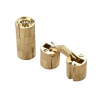 Charnières de baril 3 pièces meubles en laiton 8-18mm armoire cachée charnière de porte Invisible en cuivre dissimulée(16mm)