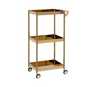 Charriot d'esthétique - 3 tablettes - jusqu'à 30 kg - doré - inox | physa