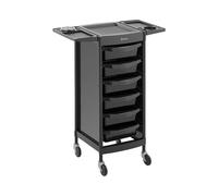 Physa PHYSA-RR-13 Chariot pour Salon de Coiffure Coiffeuse Esthétique (Plateau : 420 x 390 mm, 6 tiroirs, Capacité de Charge : 12 kg)