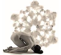 Chasing An Illusion [Vinyl]