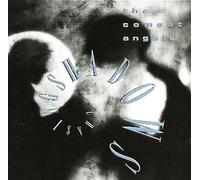 chasing shadows [UK Import]