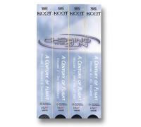 Chasing the Sun [VHS]