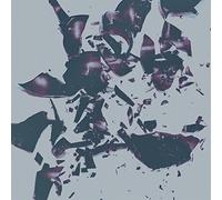 Chasms - On the Legs of Love Purified