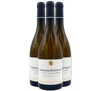 Chassagne-Montrachet 1er Cru Les caillerets - Blanc 2023 - Domaine Coffinet-Duvernay - Grand Vin Blanc de Bourgogne (3x75cl) BIO
