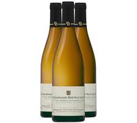 Chassagne-Montrachet 1er Cru Les Grands Clos - Blanc 2023 - Domaine Coffinet-Duvernay - Grand Vin Blanc de Bourgogne (3x75cl) BIO
