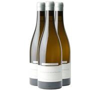 Chassagne-Montrachet - Blanc 2020 - Bruno Colin - Vin Blanc de Bourgogne (3x75cl)