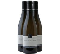 Chassagne-Montrachet - Blanc 2024 - Domaine Bertrand Bachelet - Vin Blanc de Bourgogne (3x75cl)