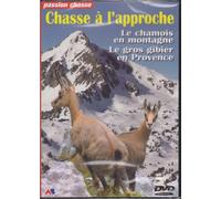 Chasse à l'approche - Le chamois : gros gibier en provence