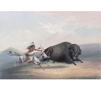 Chasse au buffle. Un indien des plaines à cheval tire sur un buffle avec son arc et sa flèche. Bison d'Amérique (B. bison). De Catlin's North American Indian Portfolio publié à Londres 1844 par
