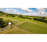 Chasse au trésor en plein air pour 4 personnes dans un domaine viticole visite et dégustation