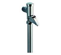 Chasse d'eau automatique GROHE DAL 3/4", sans robinet d'arrêt, avec capuchon de commande, raccord de sortie, chromé