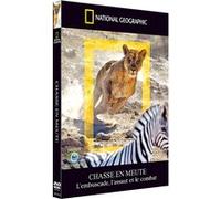 National Geographic - Chasse En Meute - L'embuscade, L'assaut Et Le Combat