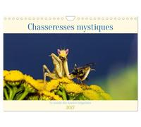 Chasseresses mystiques (Calendrier mural 2027 DIN A4 vertical), CALVENDO calendrier mensuel: Chasseresses mystiques - Le monde des mantes religieuses