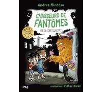 Chasseurs de fantômes - Tome 14 : Un glacier glaçant (14)