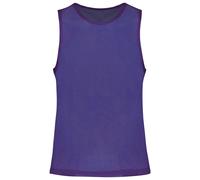 Chasuble en filet léger Proact Bleu S/M