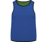 Chasuble enfant Proact Réversible Bleu 6/10 ans