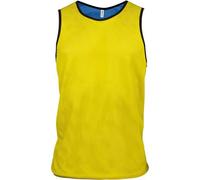 Chasuble Sport R?Versible 2 Couleurs - Pa042 - Jaune Et Bleu Roi