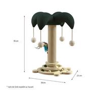 Chat arbre chat escalade petite tortue chatte depuis salut arbre sisal chat