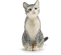 Chat assis