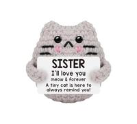 Chat au crochet déjà fabriqué, crochet positif pour chat, tricoté à la main avec message pour acclamation, animaux au crochet amusants, Kitty, panier de Pâques pour collègues, anniversaire