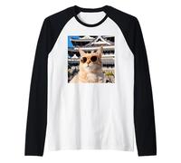Chat au Japon au château Himeji Manche Raglan