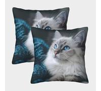 Chat aux Yeux Bleus - Pet d'intérieur poussé Housse Coussin 2 Pièces Art Taie d'oreiller Decoration Carré Taies d'oreiller Canapé Chaise Lit Jardin Chambre 40x40cm