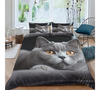 Chat bleu Housse De Couette，Convient Pour Enfants Filles Adultes，Confortable Et Facile À Entretenir Modèle de chaton mignon Parure，3 Pièces Microfibre Duvet Cover，aie D'oreiller Drap double（200x200cm）