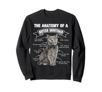 Chat britannique drôle à poil court maman papa miaou Sweatshirt