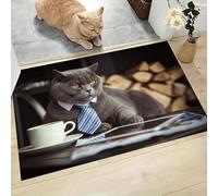 Chat British Shorthair Paillasson Intérieur, 60 x 90 cm Tapis Entrée Intérieur Extérieur Imperméable Antidérapant, Animaux Drôles Tapis pour Entrée Lavable Cuisine Salle de Bain- Gris Foncé