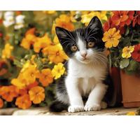 Chat Diamond Painting Adulte, 5D Diamond Painting Fleurs Peinture Diamant Enfant DIY Peinture Diamant Point de Croix Cristal CréAtifs Peintures pour Decoration Maison, Cadeau Femme 40x50cm, Model775
