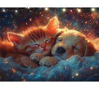 Chat Diamond Painting Chien Peinture Diamant Adulte, 5D DIY Diamond Painting Kit Complet, Tableau Perle Diamant, Strass Cristal Peinture Paintings par Numéros Kit pour Décoration Maison 35x45cm K9-354