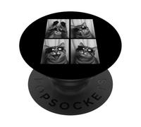 Chat drôle Portant des Lunettes de Soleil Selfie photomaton Mignon Chatons PopSockets PopGrip Adhésif