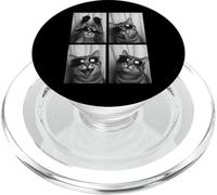 Chat drôle Portant des Lunettes de Soleil Selfie photomaton Mignon Chatons PopSockets PopGrip pour MagSafe
