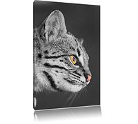 Chat du Bengale dans le profil noir / blanc sur toile, énorme XXL photos complètement encadrée avec civière, impression d'art sur ??la photo murale avec cadre, moins cher que la peinture ou une peinture à l'huile, pas une affiche ou une bannière