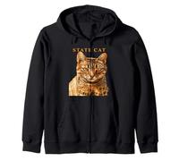 Chat du territoire du Massachusetts Le magnifique chat tigré Sweat à Capuche